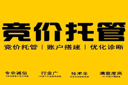 行业领先企业的SEM代运营服务公司合作经验